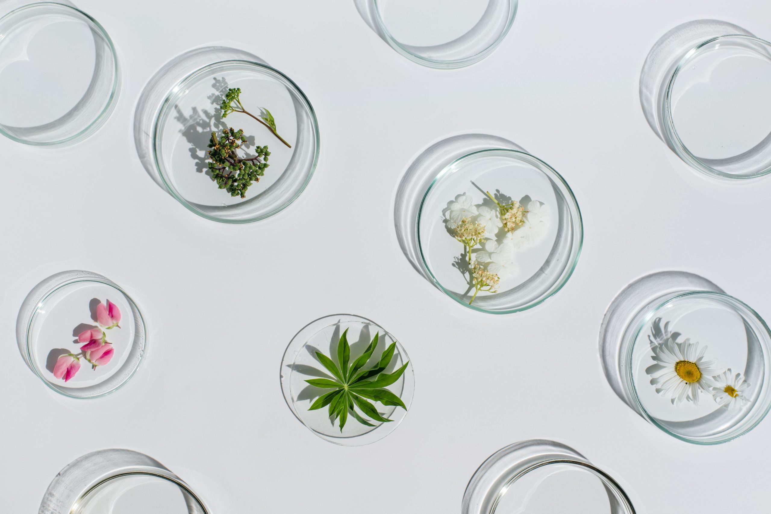 女性の人生に寄り添い
“新しい私”と出会えるストーリーのあるサロン
